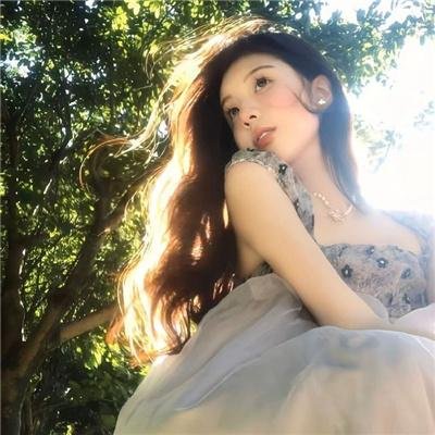 网中的太阳