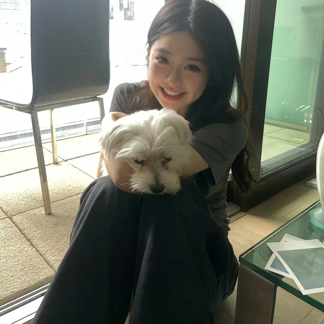 警探奈特：侠盗